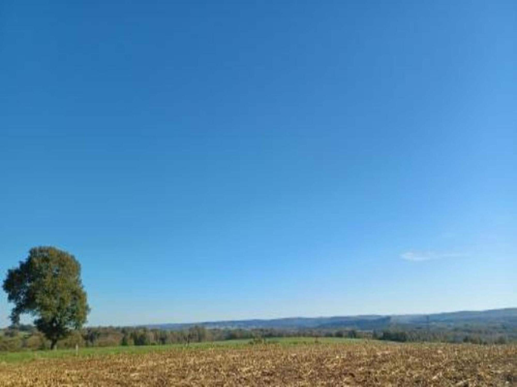 With A View Of Durbuy Golf Course *